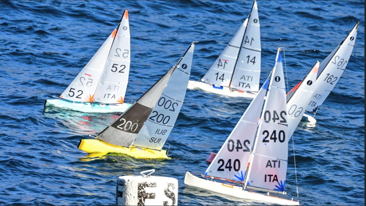 WhatsApp Image 2022-02-26 at 18.42.23 (1)