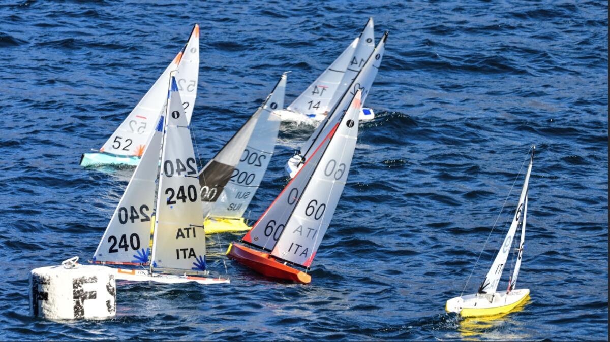 WhatsApp Image 2022-02-26 at 18.44.26 (1)