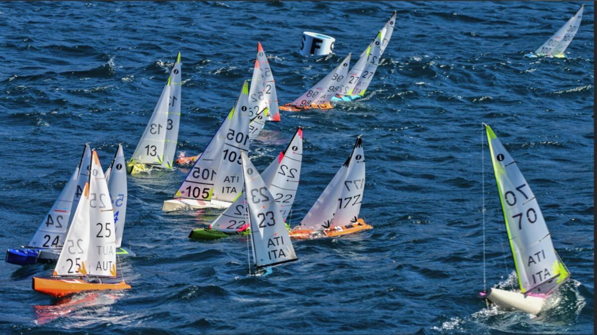 WhatsApp Image 2022-02-26 at 18.45.06