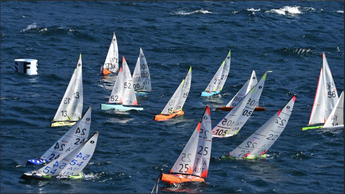 WhatsApp Image 2022-02-26 at 18.45.15