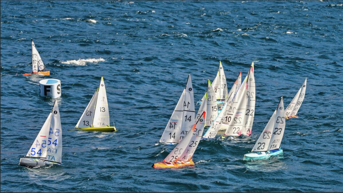 WhatsApp Image 2022-02-26 at 18.45.16